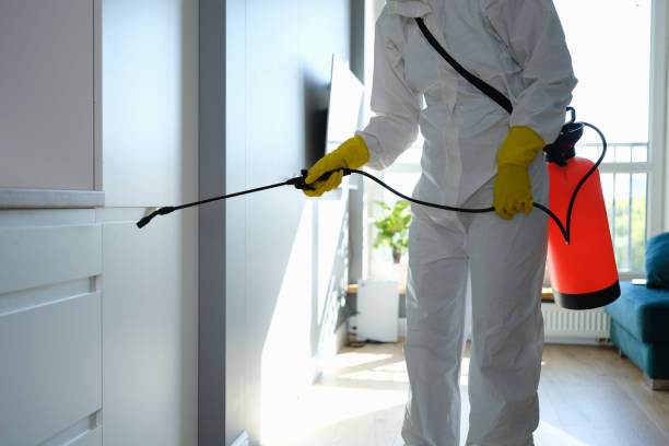 Best Office Mold Removal Services  in Shenandoah, PA