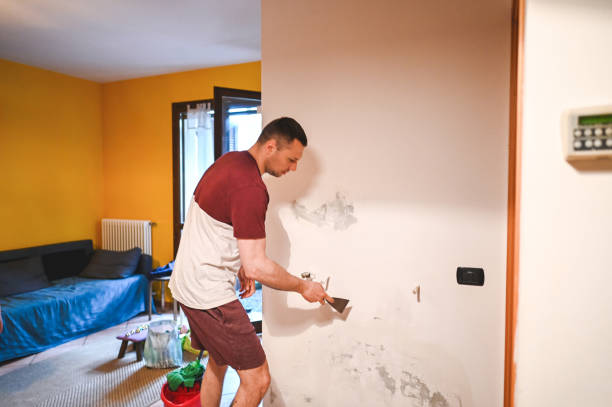 Best Toxic Mold Removal  in Shenandoah, PA